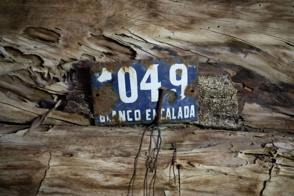 Patrimonio erradicado